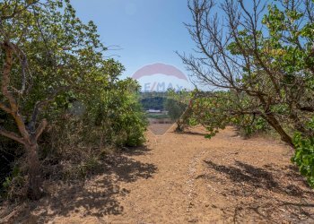 Giardino - Villa Via Giuseppe Garibaldi
 
183, Caltagirone - foto 19