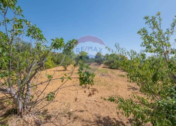 Giardino - Villa Via Giuseppe Garibaldi
 
183, Caltagirone - foto 29