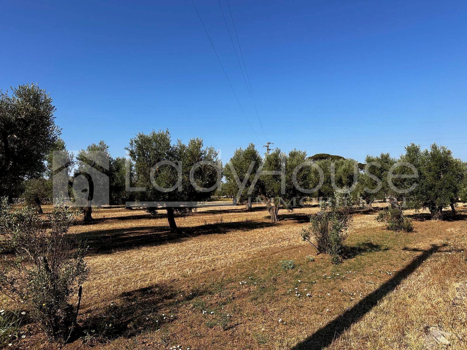 Foto 2 - Villa Via Giusti, Alezio - foto 2