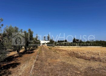 Foto 4 - Villa Via Giusti, Alezio - foto 4