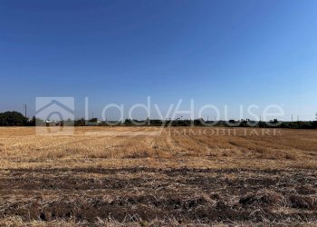 Foto 8 - Villa Via Giusti, Alezio - foto 8