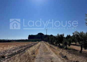 Foto 14 - Villa Via Giusti, Alezio - foto 14