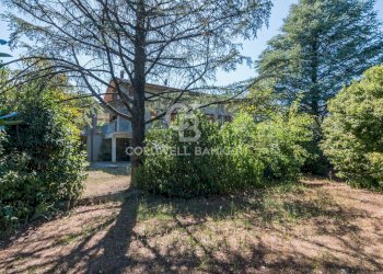 Foto 40 - Independent house via cagolino
 
12, Vallefoglia - photo 40