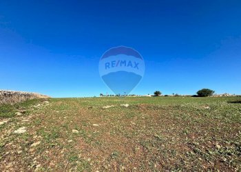 Giardino - Terreno edificabile villa bove, Ragusa - foto 6