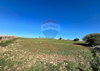 Giardino - Terreno edificabile villa bove, Ragusa - foto 7