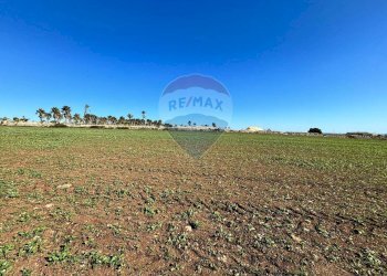 Giardino - Terreno edificabile villa bove, Ragusa - foto 8