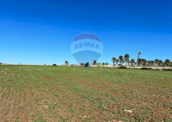 Giardino - Terreno edificabile villa bove, Ragusa - foto 12