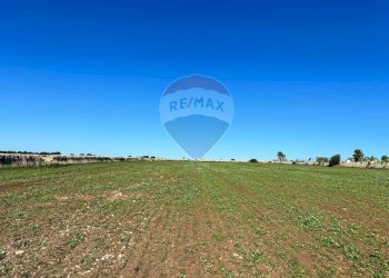 Giardino - Terreno edificabile villa bove, Ragusa - foto 14