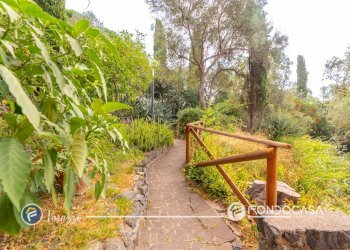 Foto 48 - Appartamento Via dei pini d'aleppo, Varazze - foto 48