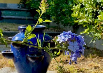 Foto 14 - Trilocale Via Lenché, Varazze - foto 14