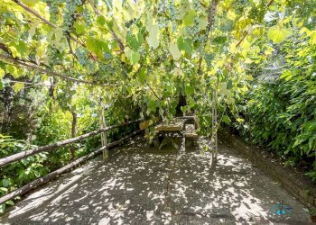 Foto 54 - Villa Via dei cappuccini, Collevecchio - photo 54