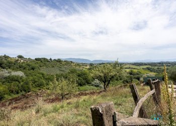 Foto 101 - Villa Via dei cappuccini, Collevecchio - photo 101