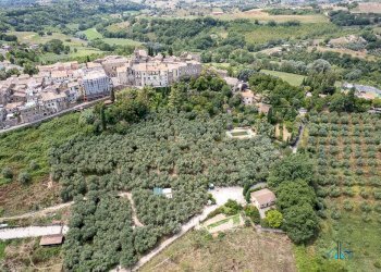 Foto 138 - Villa Via dei cappuccini, Collevecchio - photo 138