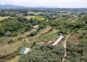 Foto 144 - Villa Via dei cappuccini, Collevecchio - photo 144