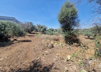 Foto 9 - Agricultural land Strada Provinciale
S.N, Belpasso - photo 8