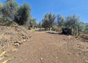 Foto 10 - Agricultural land Strada Provinciale
S.N, Belpasso - photo 9