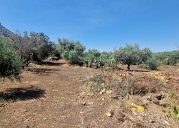 Foto 12 - Agricultural land Strada Provinciale
S.N, Belpasso - photo 11