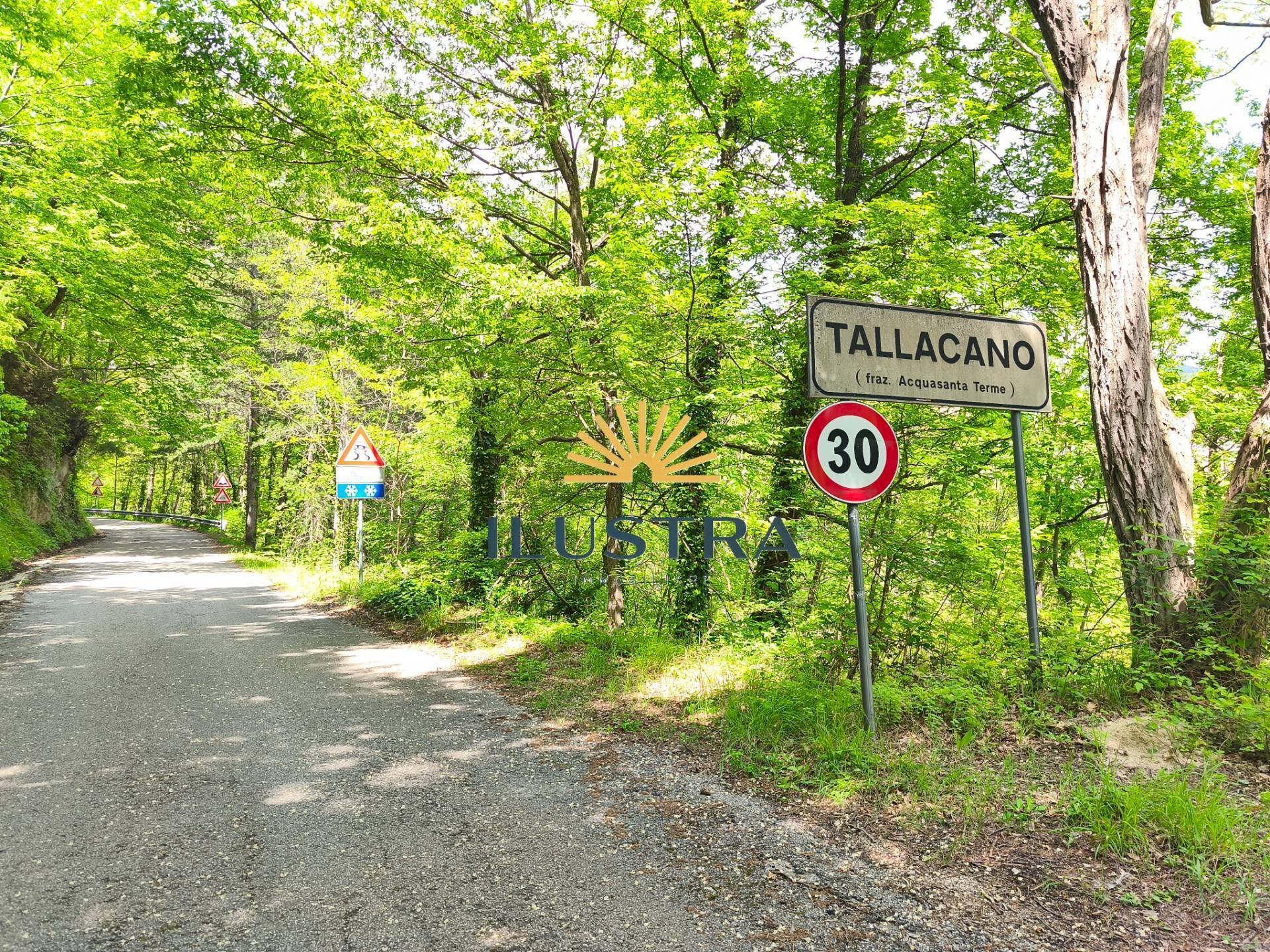 Foto 1 - Terreno agricolo Frazione Tallacano
 
n, Acquasanta Terme - foto 1