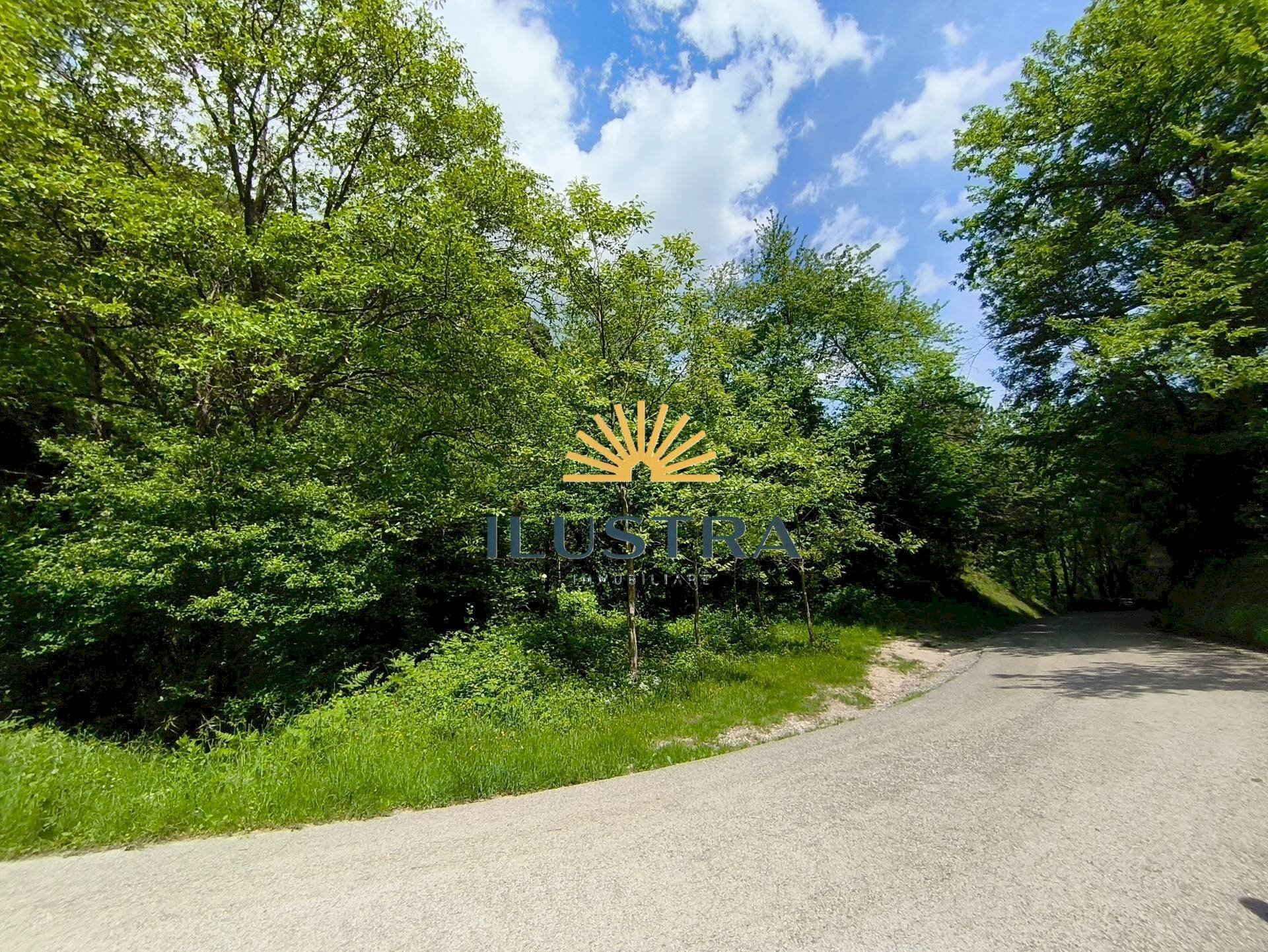 Foto 3 - Terreno agricolo Frazione Tallacano
 
n, Acquasanta Terme - foto 3