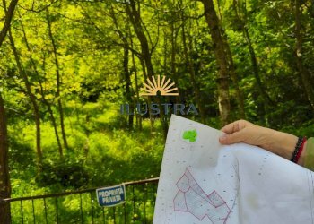 Foto 4 - Terreno agricolo Frazione Tallacano
 
n, Acquasanta Terme - foto 4