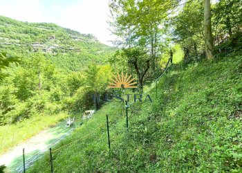 Foto 19 - Terreno agricolo Frazione Tallacano
 
n, Acquasanta Terme - foto 16