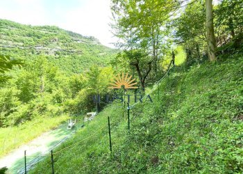 Foto 20 - Terreno agricolo Frazione Tallacano
 
n, Acquasanta Terme - foto 17