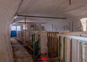 Cantina - Rustico via Mattona, 3, Villafalletto - foto 33