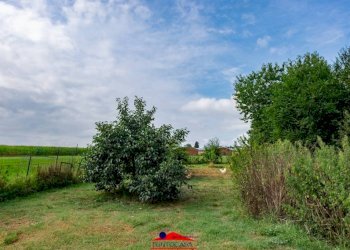 Terreno - Rustico via Mattona, 3, Villafalletto - foto 37