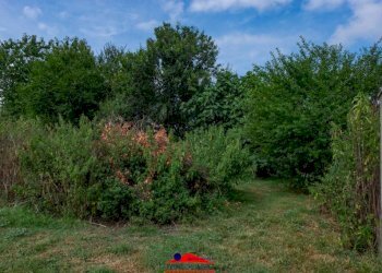 Terreno - Rustico via Mattona, 3, Villafalletto - foto 38