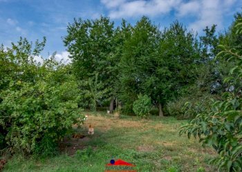 Terreno - Rustico via Mattona, 3, Villafalletto - foto 40