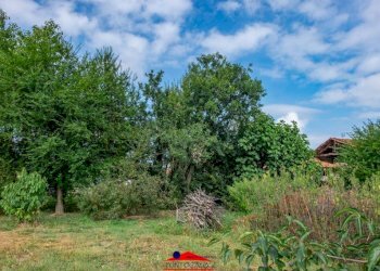 Terreno - Rustico via Mattona, 3, Villafalletto - foto 41