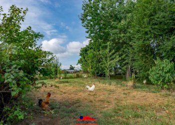 Terreno - Rustico via Mattona, 3, Villafalletto - foto 42