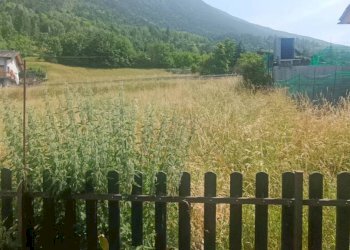 Terreno - Villa Frazione Vercellod, 49, Aymavilles - foto 14