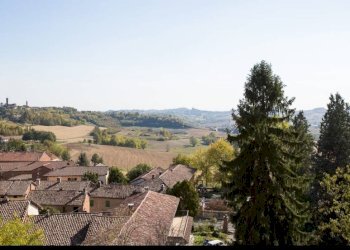 Vista - Rustico via Parrocchiale, Montiglio Monferrato - foto 7