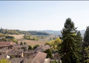 Vista - Rustico via Parrocchiale, Montiglio Monferrato - foto 24