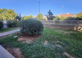 Trilocale Orbassano - foto 2