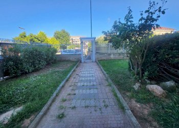 Trilocale Orbassano - foto 4