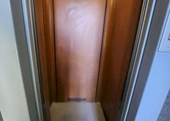 Trilocale Orbassano - foto 9