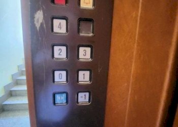 Trilocale Orbassano - foto 10