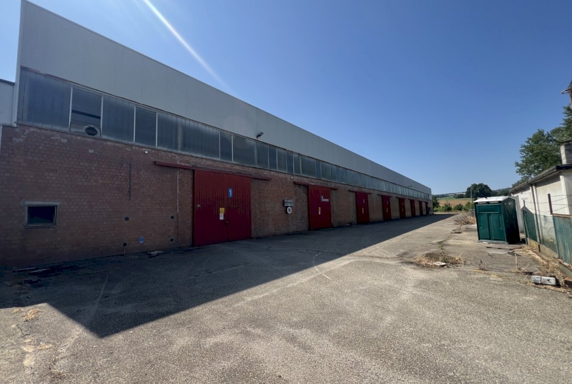 Shed Dozza - photo 1