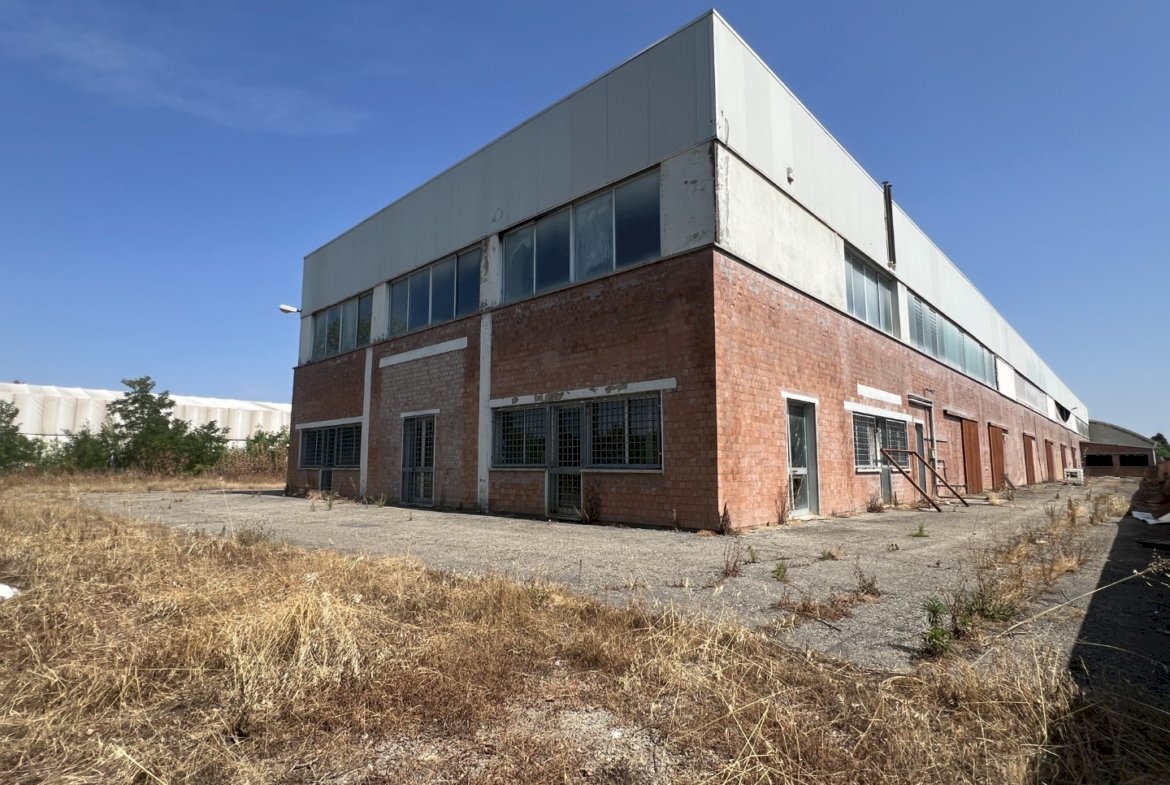 Shed Dozza - photo 2