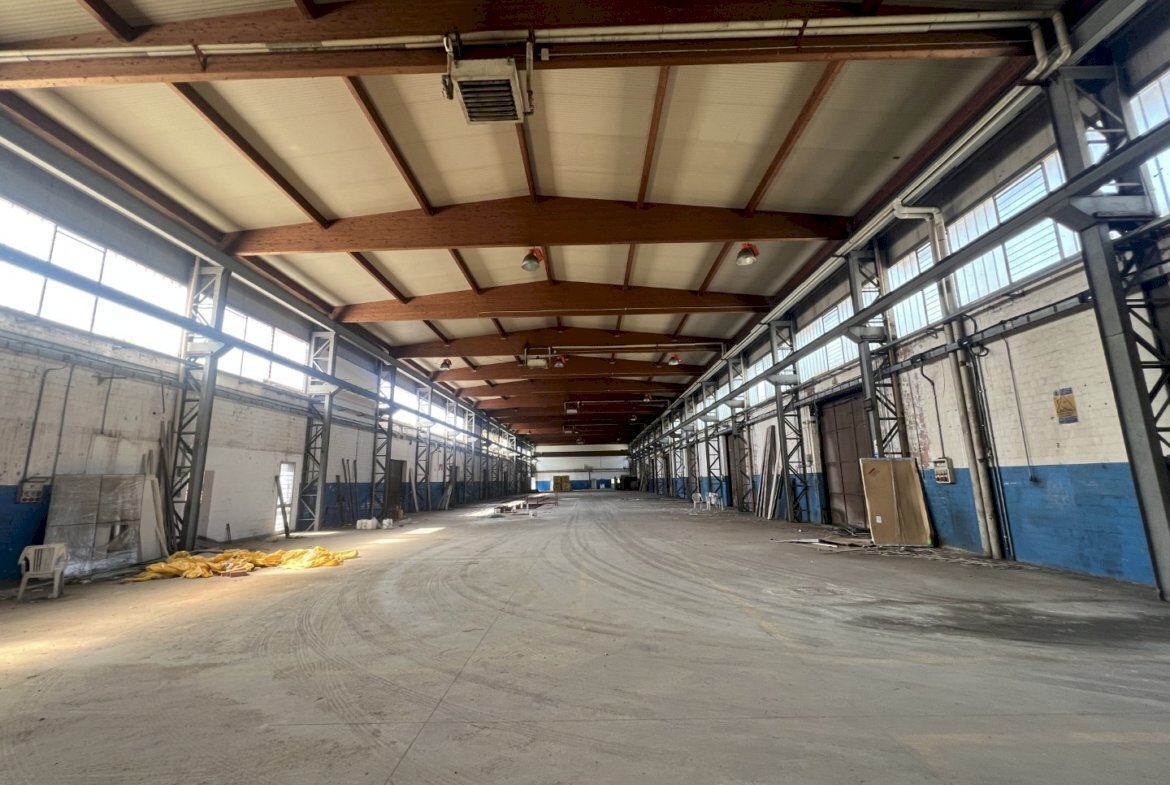 Shed Dozza - photo 3