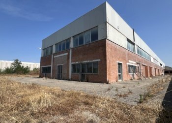 Shed Dozza - photo 2