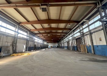 Shed Dozza - photo 3