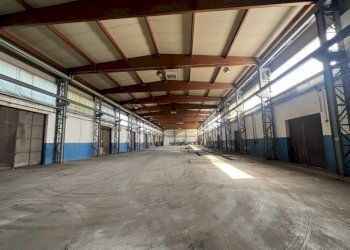 Shed Dozza - photo 4