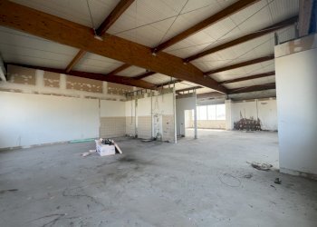 Shed Dozza - photo 8