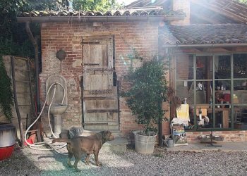 Farmhouse Cherasco - photo 36