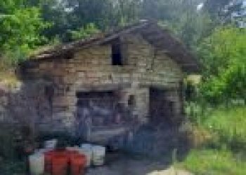 Agricultural land Canelli - photo 7