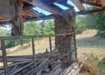 Agricultural land Canelli - photo 10