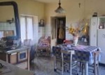 Agricultural land Canelli - photo 11